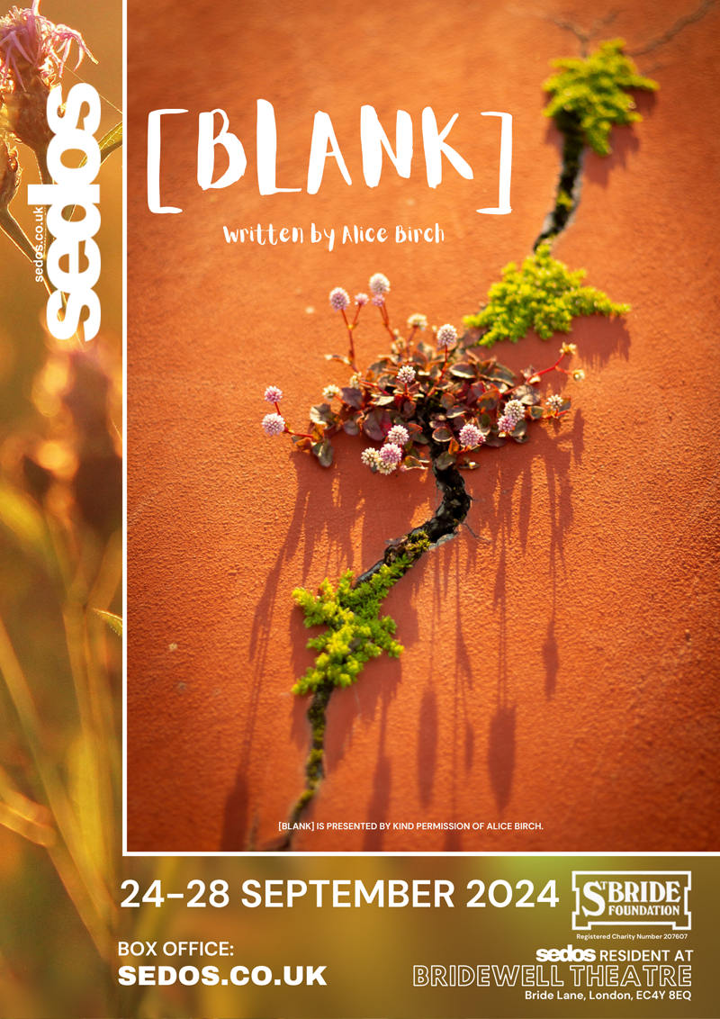 [BLANK] flyer image